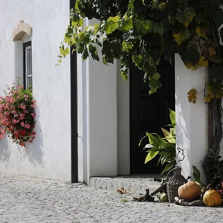 Weingut Zuschmann-schofmann فندق مبيت وإفطار Martinsdorf