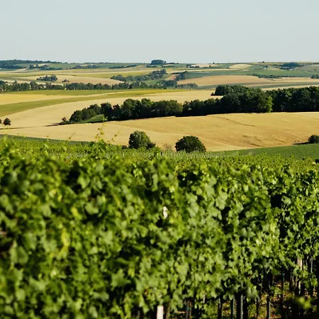 فندق مبيت وإفطار Weingut Zuschmann-schofmann Martinsdorf